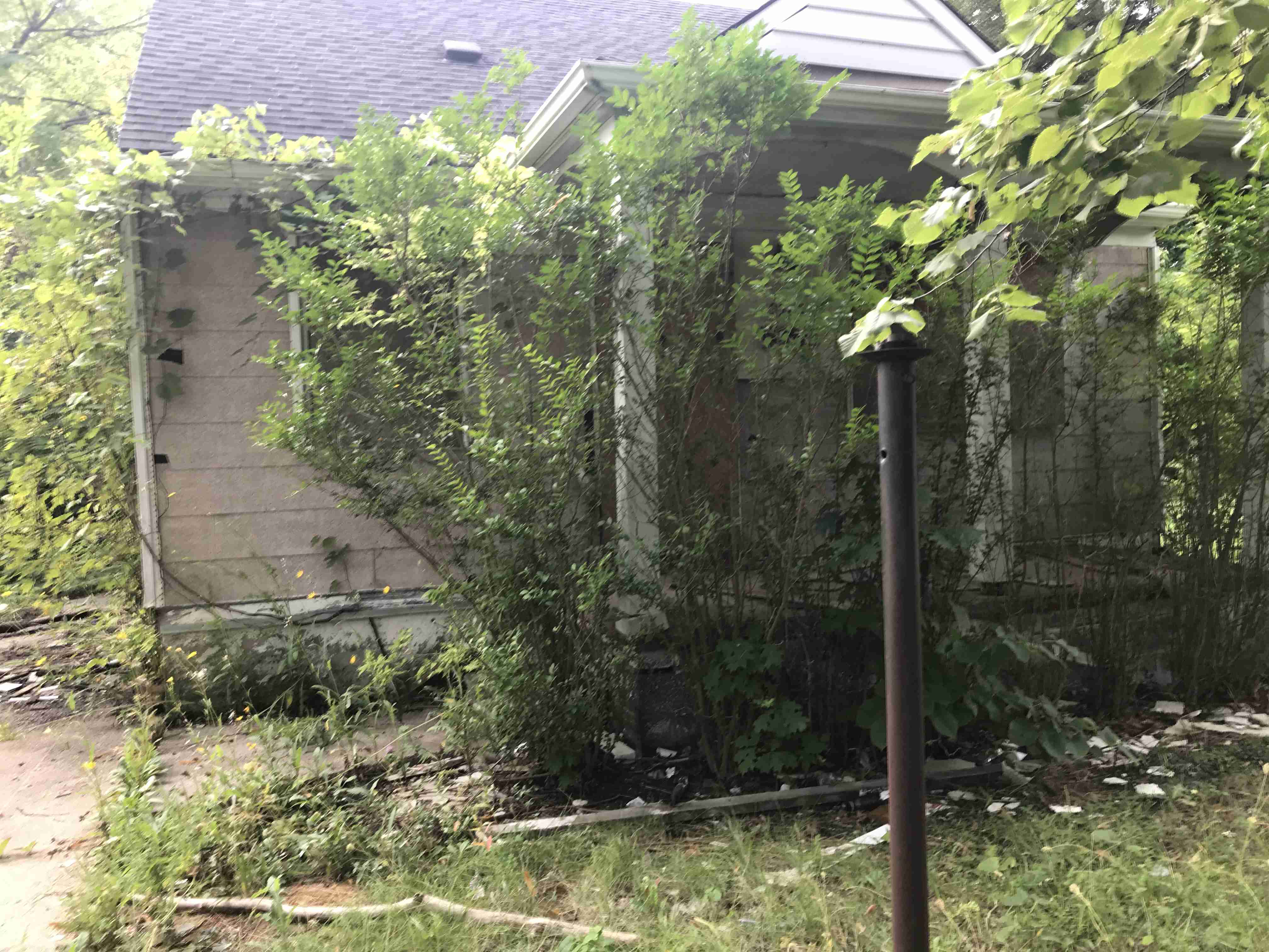 Photo Sep 09, 5 39 46 PM.jpg